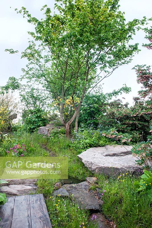 The Laurent-Perrier Chatsworth Garden. Rockery