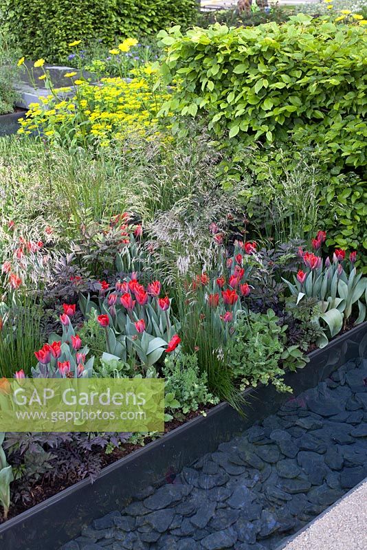Raised flowerbeds next to water feature with decorative slate. The Telegraph Garden, inspired by De Stijl Movement and reflecting strong rectilinear geometry with planting blocks contributing colour and textural relief. RHS Chelsea Flower Show, 2015