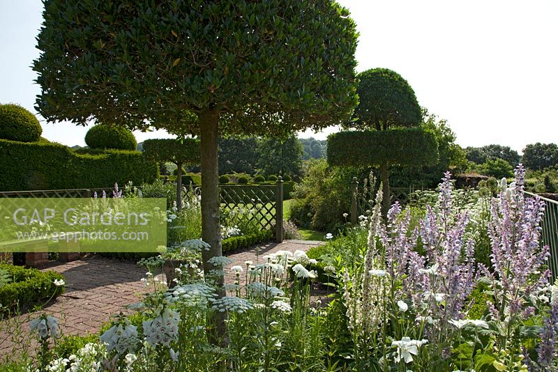 The White Garden, Felley Priory and gardens, Nottinghamshire