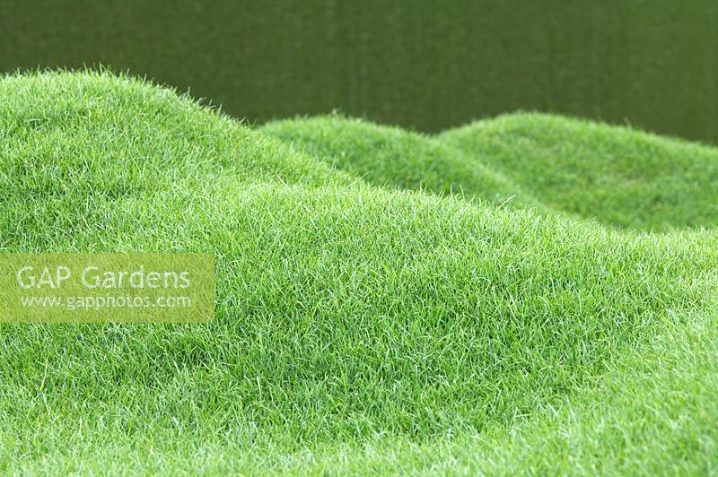 Curved lawn