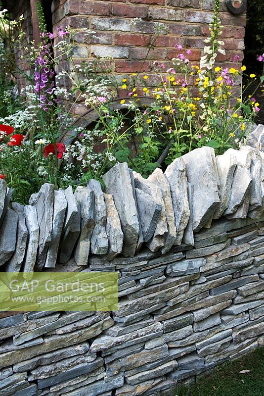 The Old Forge Garden for Motor Neurone Disease Association. RHS Chelsea Flower Show 2015. Natural slate border wall surrounded by wild flowers Digitalis purpurea, Papaver rhoeas, Anthriscus sylvestris, Ranunculus acris, against brick wall. 