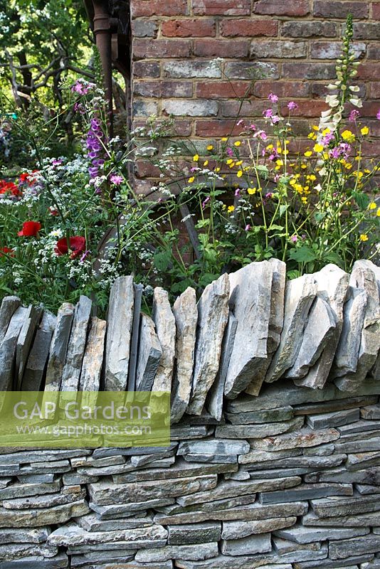 The Old Forge Garden for Motor Neurone Disease Association. RHS Chelsea Flower Show 2015. View of natural slate rocks border wall surrounded by wild flowers Digitalis purpurea, Papaver rhoeas, Anthriscus sylvestris, Ranunculus acris, against brick wall. 