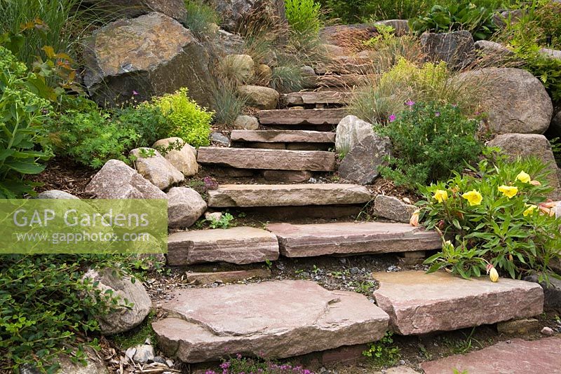 Natural stone steps borderd by perennial plants and shrubs, yellow Lilium - Lily flowers in backyard garden bordered by perennial shrubs and flowers in summer