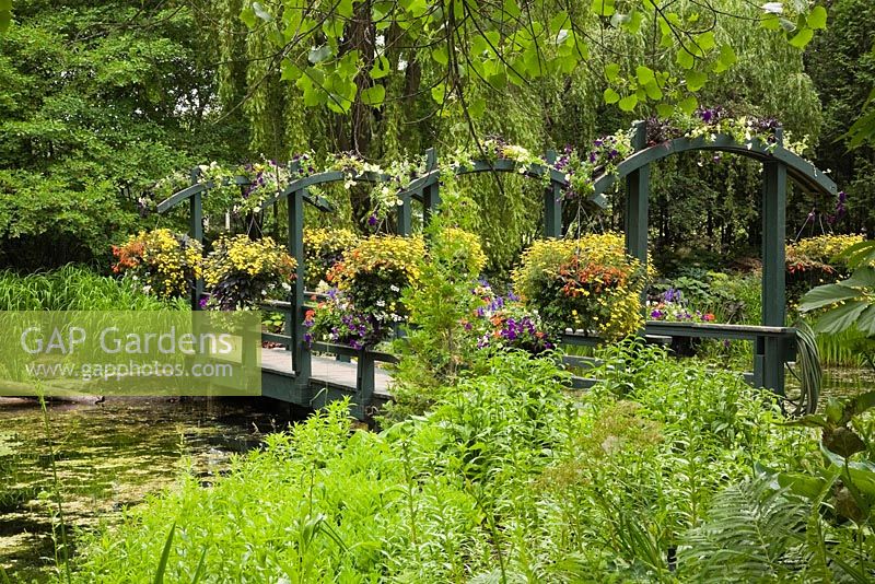 Wooden footbridge decorated with hanging baskets of yellow annual flowers over pond with Chlorophyta - Green Algae in public garden in late spring, Centre de la Nature public garden, Saint-Vincent-de-Paul, Laval, Quebec, Canada