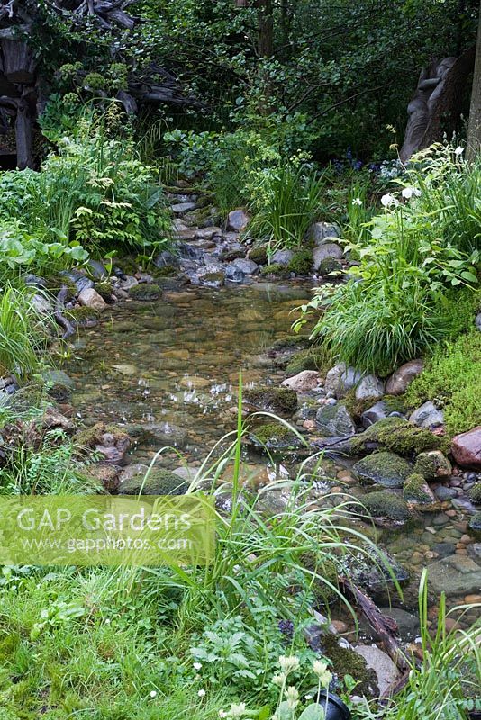 Stream with grasses and mosses. Also Iris, astilbe, primula. 