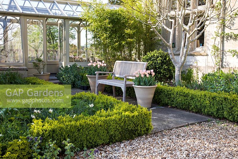 Terrace with decorative wooden bench in a formal garden with clipped Box hedging 
