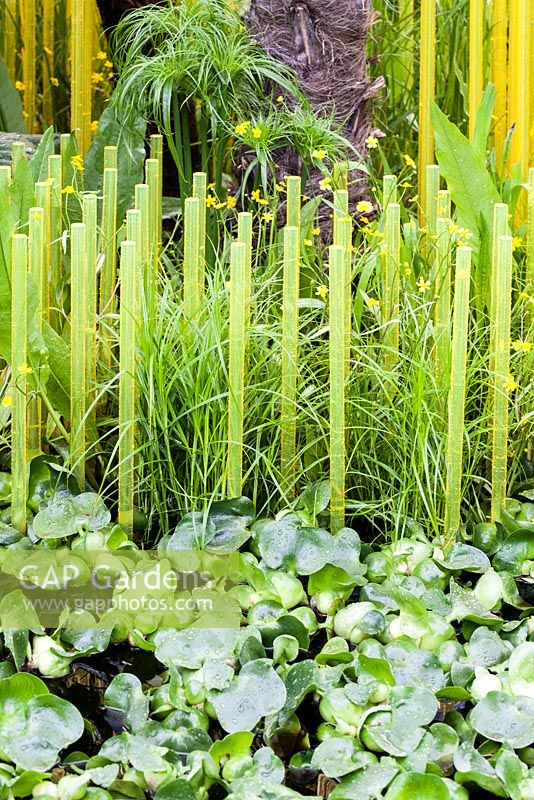 The World Vision Garden. Detail of yellow translucent rods at edge of pool 