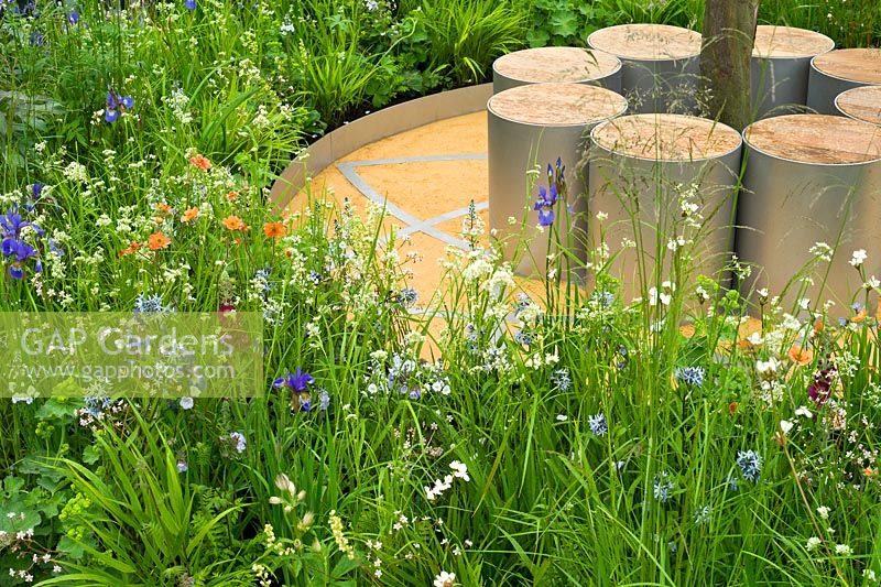 Thinking of Peace by Lace Landscapes. A circle of contemporary cylindrical stainless steel and wood seats under a tree surrounded by soft perennial planting of Iris sibirica 'Tropical Night' and 'Blue King', Veronica 'Pallida', Amsonia tabernaemontana, Luzula nivea, Geum 'Borisii'. 