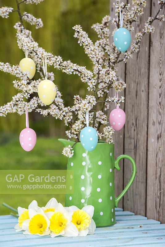 Decorative eggs hanging from blossoming spring foliage in a green polkadot jug, accompanied with Daffodils
