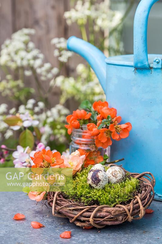 Quail eggs sat on moss within a woven willow wreath, accompanied with blossoming spring foliage and blue watering can
