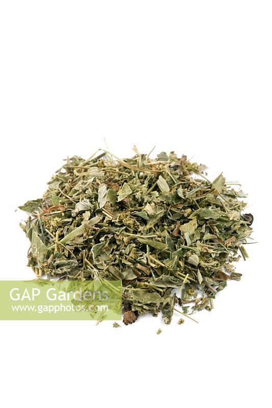 Aphanes arvensis - Parsley piert. Also known as Breakstone parsley, this herb is used in herbal medicine for kidney and bladder stones as well as conditions of both liver and kidneys. 