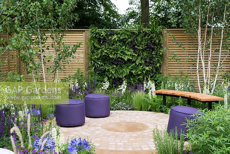 Purple stools on circular paving, living wall, slatted fencing and purple and white planting of Salvia nemorosa 'Caradonna', Digitalis 'Alba', Stipa tenuissima and Betula - The Wellbeing of Woman Garden, RHS Hampton Court Palace Flower Show 2015. Design: Wendy von Buren, Claire Moreno, Amy Robertson