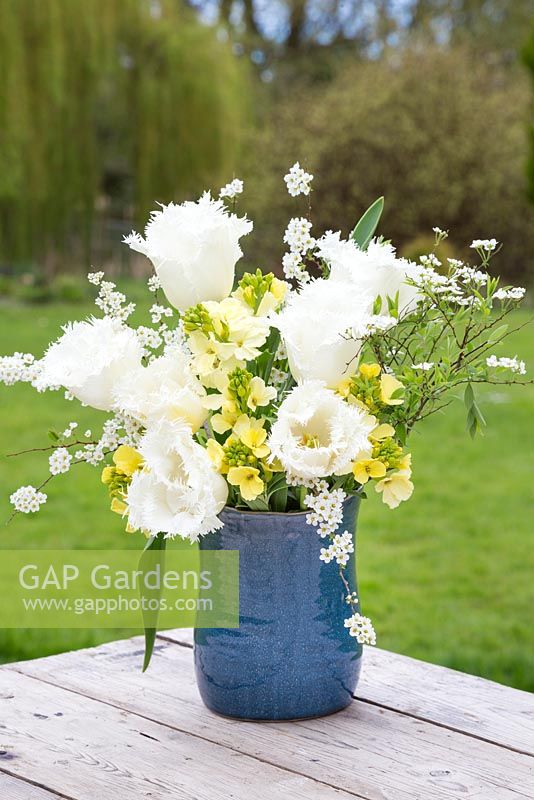 Floral display of Tulipa 'Swan Wings', Cheiranthus cheiri 'Ivory White' and white spring blossom