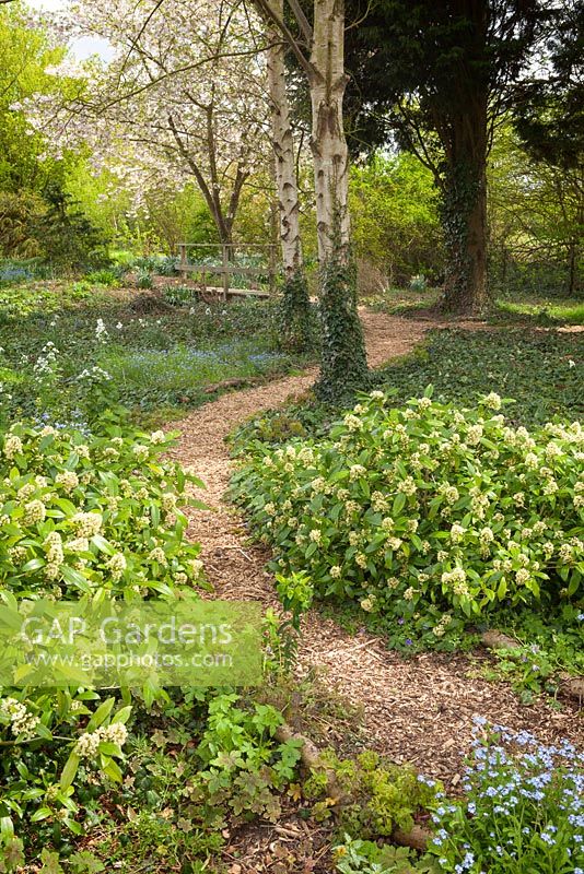 Footpath through the Dell toward the Wildflower Meadow. Goltho Gardens, Goltho, Lincolnshire, UK. Spring, May 2015.