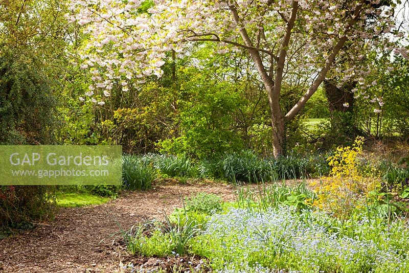 Footpath to the Woodland, with part of the Prairie Garden on the right. Goltho Gardens, Goltho, Lincolnshire, UK. Spring, May 2015.