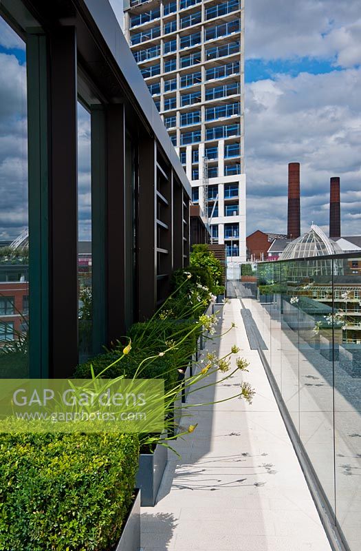 Contemporary roof garden, Chelsea Creek London 
