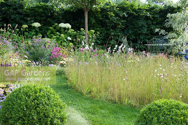 Squire's Garden Centres. Urban Oasis Small unmown grassy meadow with wildflowers backed by perennial border with box balls and hydrangea Annabelle with metal table and chairs. RHS Hampton Court Flower Show, 2015