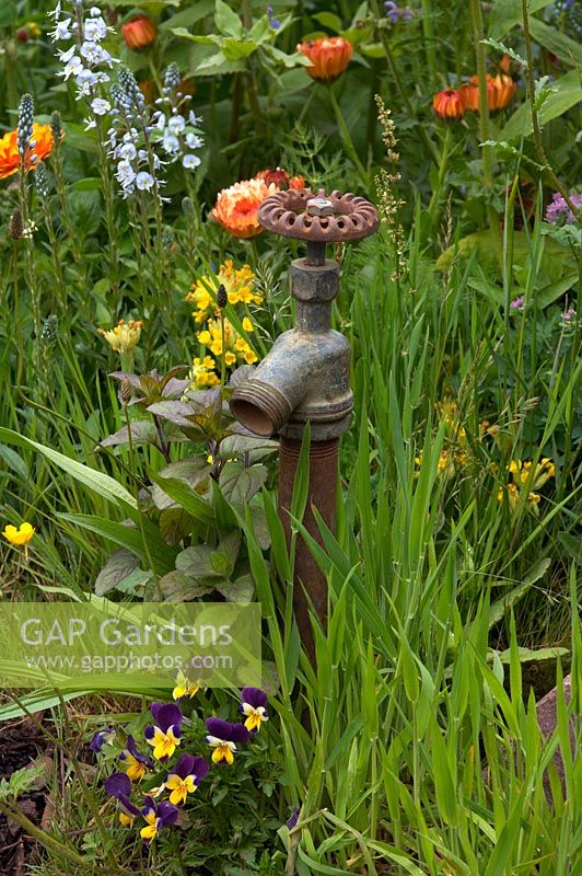 Old rusty garden irrigation tap