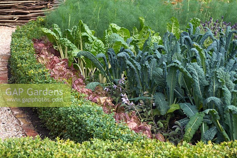 Decorative vegetable garden
