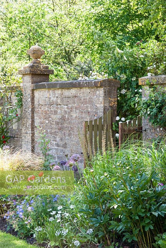 Border next to wall with gate, Allium, Paeonia, Geranium - Ammerdown House, Somerset