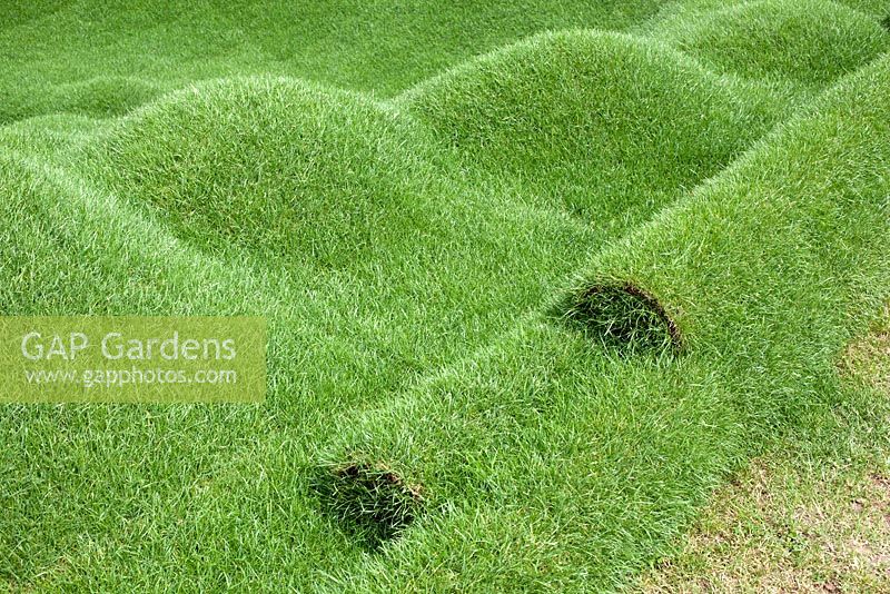Rolawn Freestyle Turf Sculpture at RHS Hampton Court Palace Flower Show 2015