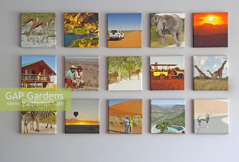African safari family canvases mounted on a wall 