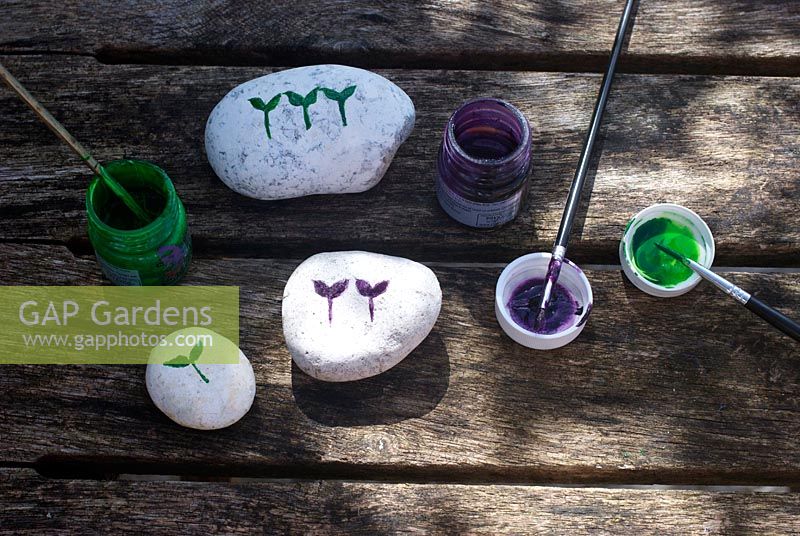 Painting pebbles as seed markers