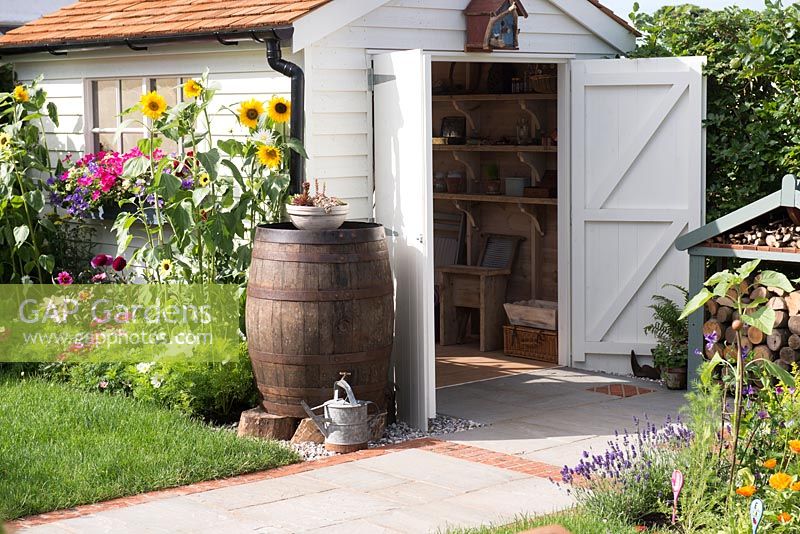 Just Retirement: A Garden For Every Retiree, view of rural garden with wooden barrel used as a water butt and white shed with open door surrounded by Helianthus and Cosmos flowers. Designer: Tracy Foster Sponsor: Just Retirement Ltd