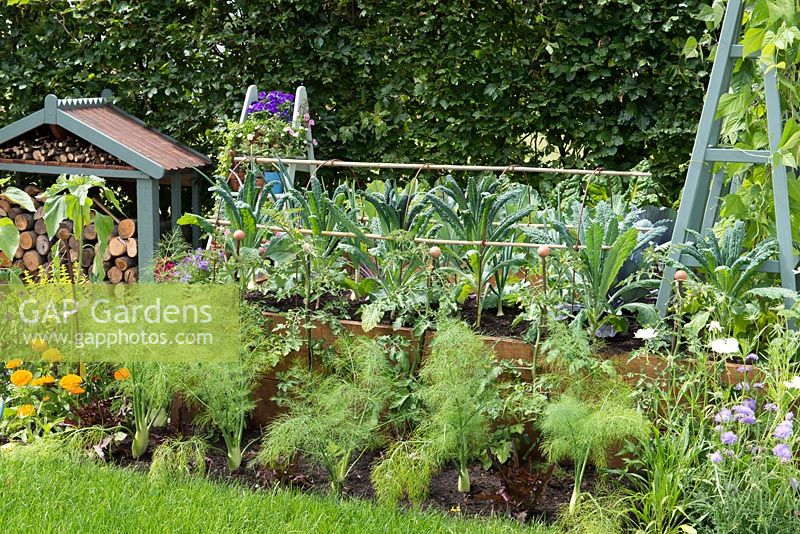 Just Retirement Garden. Raised wooden beds of vegetables. Bed of fennel, tomato and marigolds. Hampton Court Flower Show 2015.