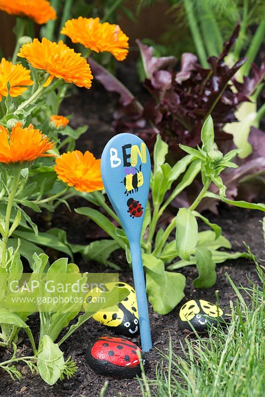 Painted wooden spoon to indicate a child's garden, with pebbles painted as ladybirds.