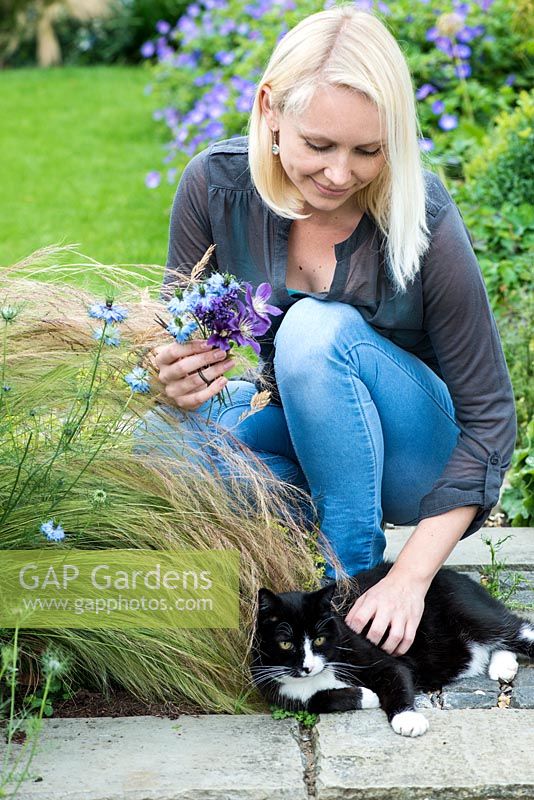 Cottage garden posie step by step in June: A visit from the family cat, Reggie, interrupts cutting stems of Nigella damascens, love-in-the-mist, an annual that lasts well as a cut flower.
