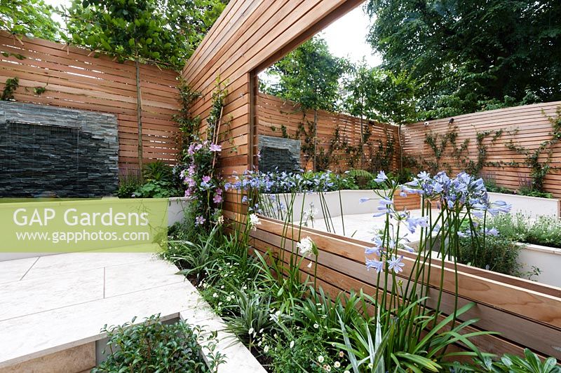 Red cedar wall screen, slate water feature, Sofia limestone paving. Clematis,'Nelly Moser', Agapanthus africanus, Agapanthus africanus Alba, Erigeron karvinskianus 
