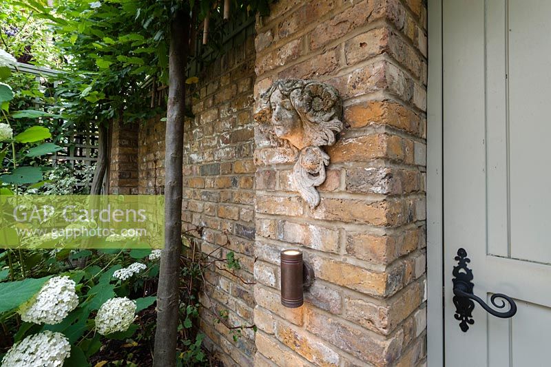 Garden wall stone head sculpture with uplighting. Carpinus betulus, Hydrangea arborescens 'Annabelle'