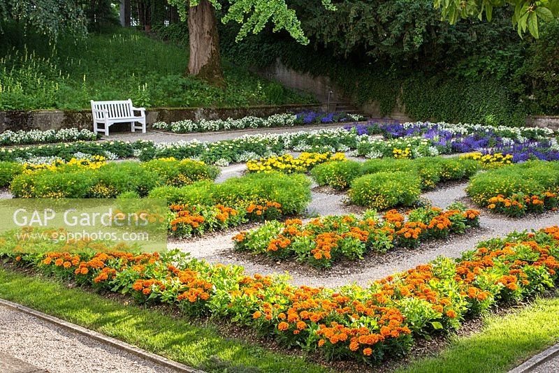 The former box garden at Weihenstephan with colour schemed annual planting - Alyssum, Begonia semperflorens and Tagetes