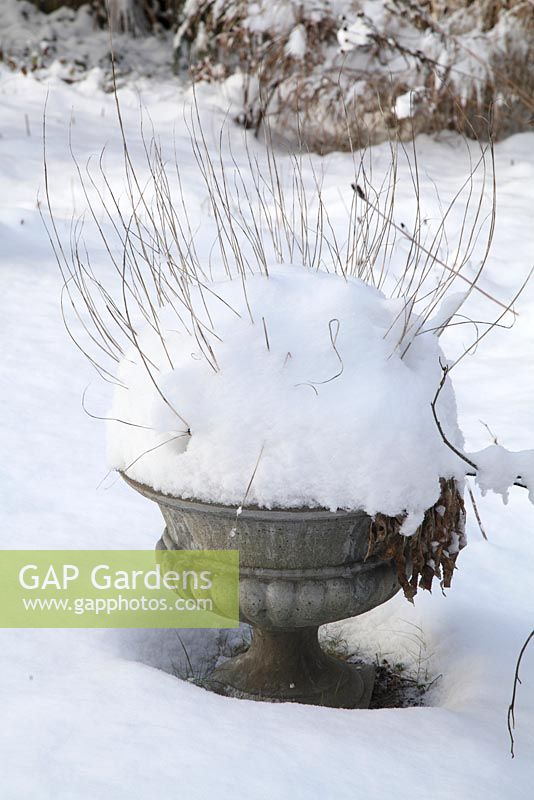 Winter scene with hosta in urn covered in snow - Welsch Garden, Berlin, Germany