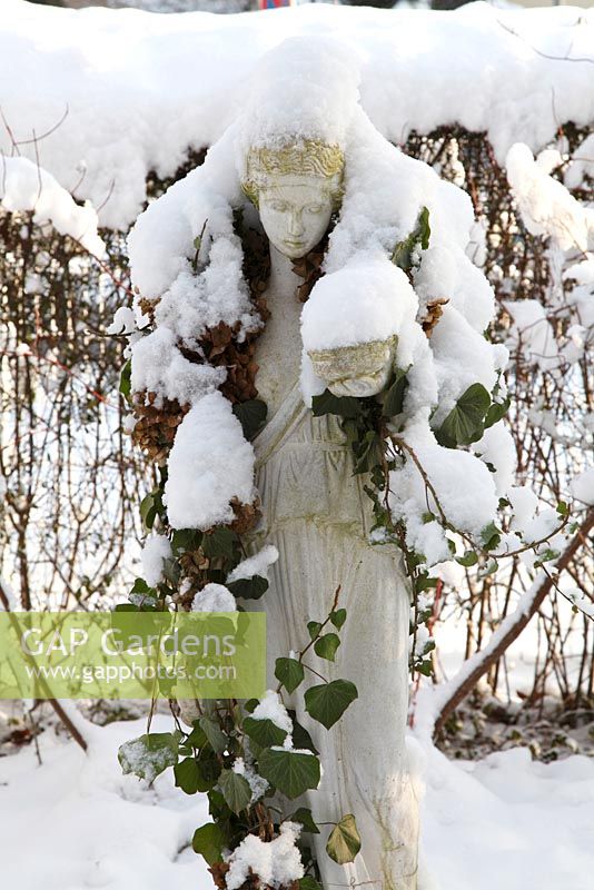 Classical female statue with ivy stole laden with snow against Ligustrum vulgare 'Atrovirens' in winter - Welsch Garden, Berlin, Germany