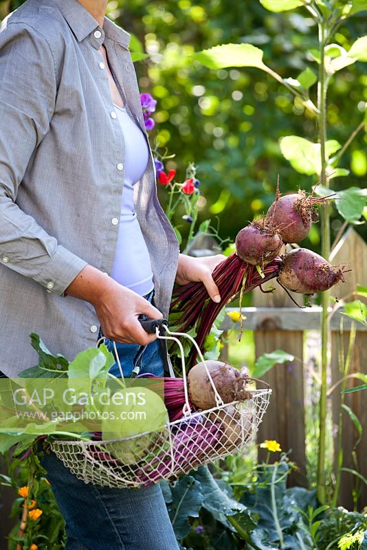 Woman with harvested kohlrabi and beetroots.