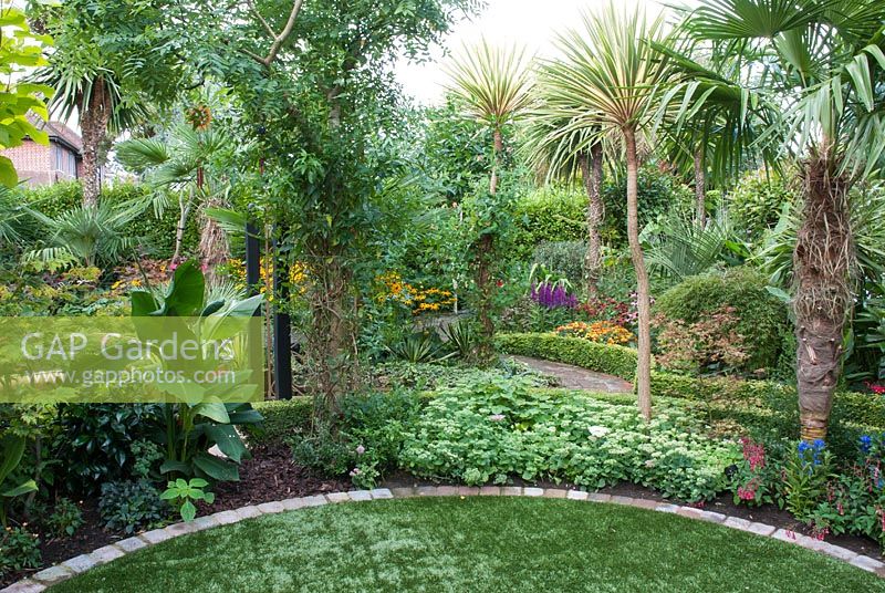 Exotic garden with artifical circular lawn edged with bricks.  Plants include Canna iridiflora on left, Sophora japonica with Solanum crispum climbing the trunk, borders edged with Lonicera nitida 'Baggesen's Gold', Sedum and blue flowers of Gentiana andrewsii