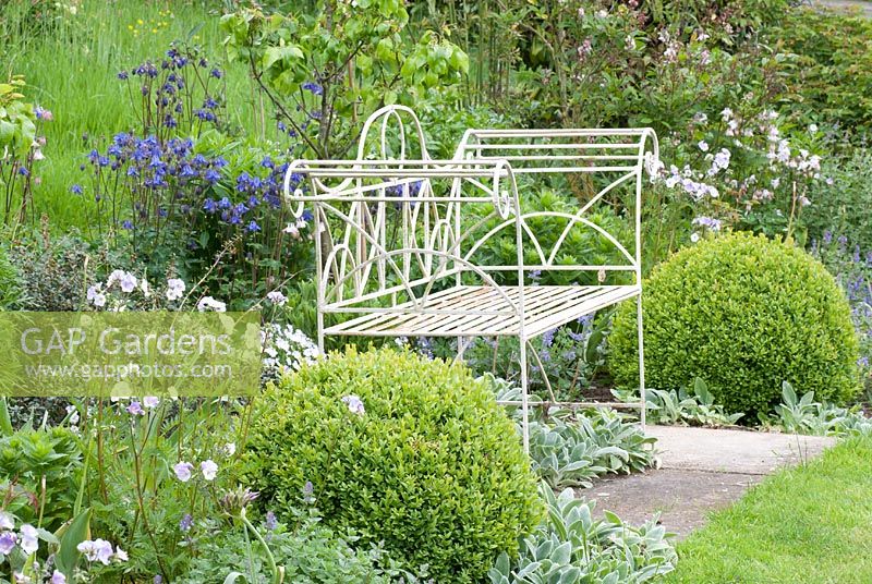 White metal bench surrounded by clipped Buxus balls, Stachys byzantina, Aquilegia vulgaris and Polemonium - Westbrook House, Somerset
