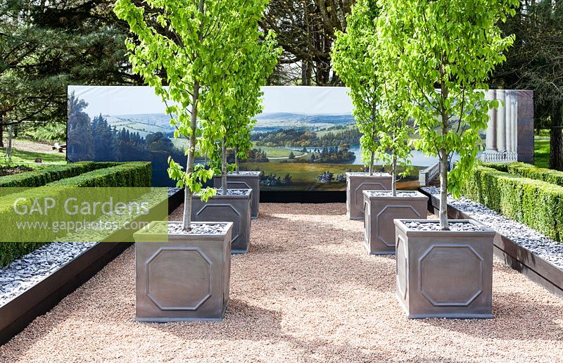 Display of the National Botanic Garden of Wales, fastigiate Beech in metal containers with backdrop banner of historical depiction of the garden. RHS Flower Show Cardiff. April 2015

