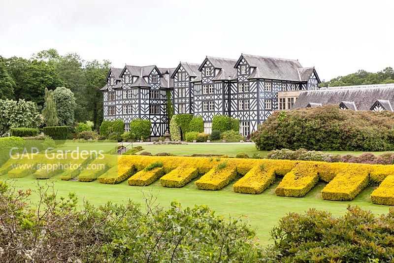 Gregynog, Montgomeryshire, Wales. CADW Grade I listed garden designed by C18th landscape designer William Emes. Clipped hedges of Taxus baccata 'Aurea Group'. July