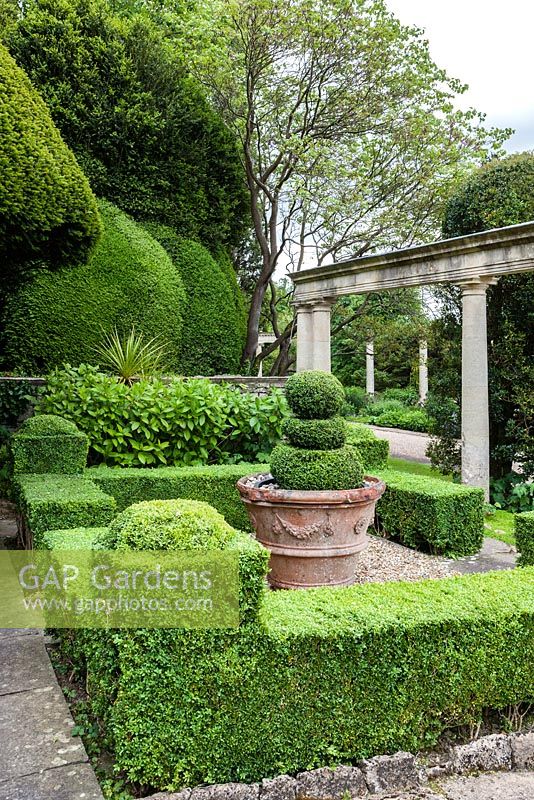 Formal garden next to the Great Terrace colonnade and Casita. Hedges and topiary of Buxus sempervirens. Clipped Yew behind. Terracota pot from Italy. Iford manor, Bradford-on-Avon, Wiltshire. July. Garden designed and created by Harold Peto. Historic garden grade I. 
