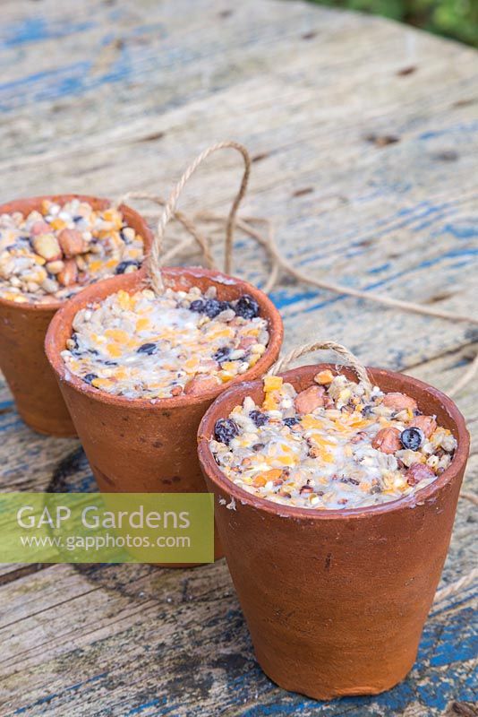 Terracotta pots filled with a mixture of Lard or Fat, Raisins, Bird seed, Cheese and Peanuts
