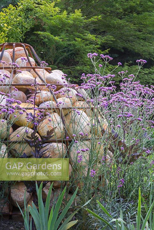 Unique Gabion sculpture shaped like a bulb, with planting of Verbena bonariensis and Actaea