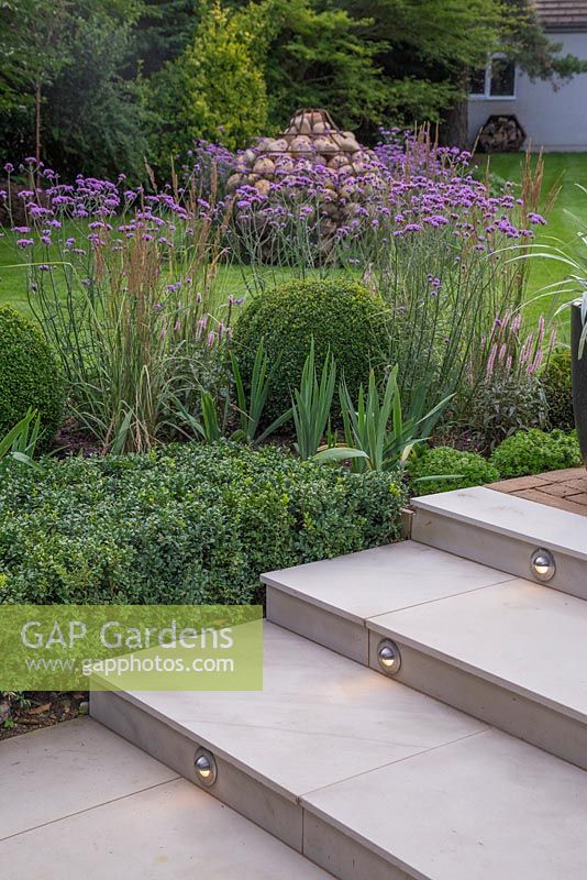 View of lighting feature built into marble steps, with border of Verbena bonariensis, Buxus sempervirens hedge and spheres, Veronica and Calamagrostis x acutiflora 'Karl Foerster'