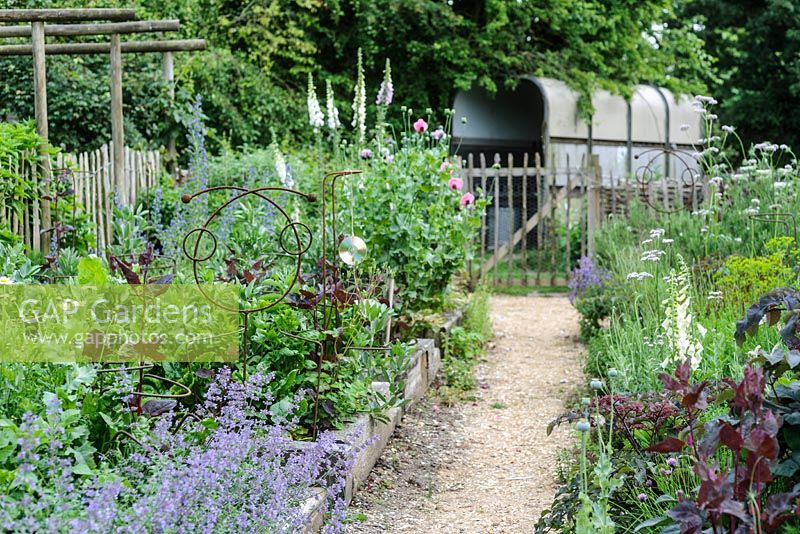 Raised Beds for herbs, vegetables and strawberries. Interplanted with nectar plants for pollinators. Nepeta, Digitalis purpurea. Young Atriplex hortensis - Garden Orache plants.