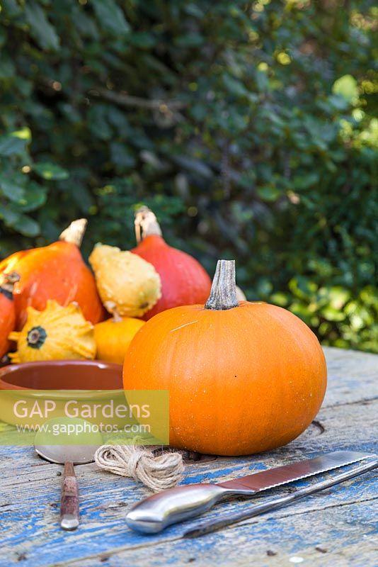 Materials required for constructing a Pumpkin Bird Feeder are a Pumpkin, sharp knife, string, spoon, thick skewer, string and sticks