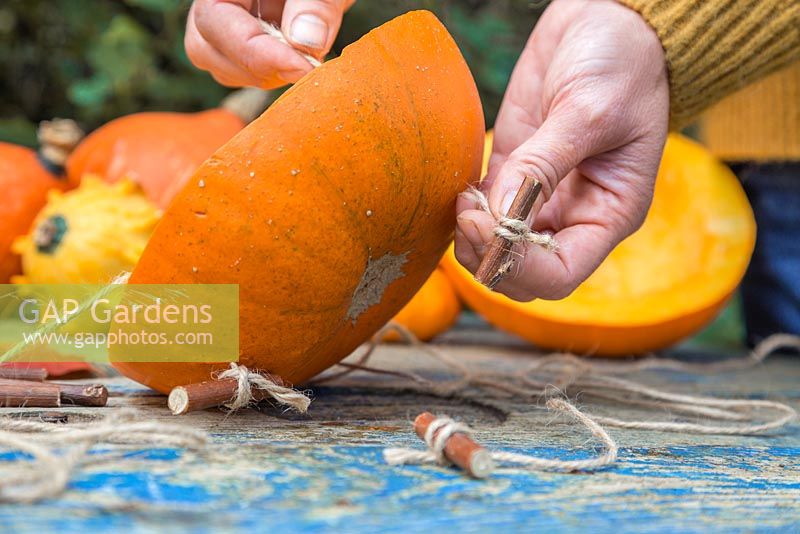 Create a stopper which will prevent the Pumpkin falling off the string, by forming a Clove Hitch knot around a small twig