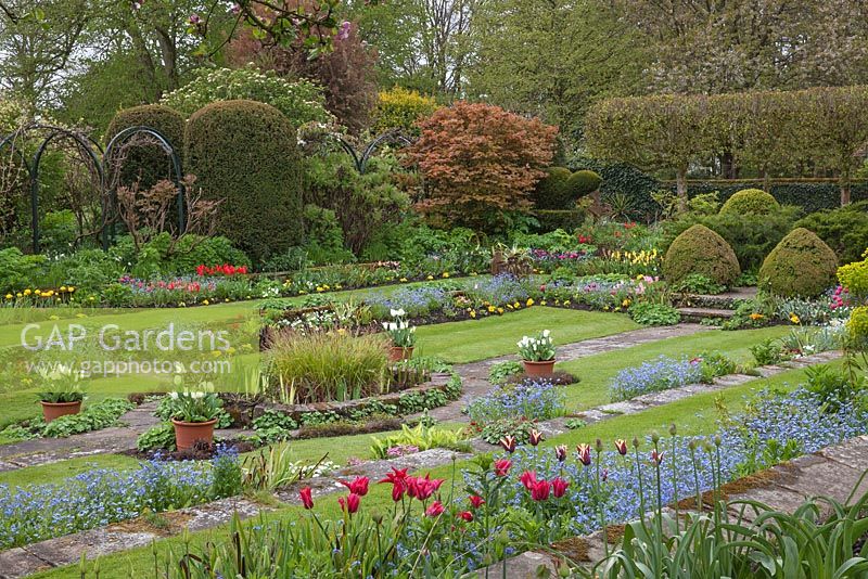 Chenies Manor Gardens, Buckinghamshire, showing the 'Sunken Garden' in Spring. Planting includes Tulipa, Myosotis, Hosta, Euphorbia, Primula, Carex elata 'Aurea'