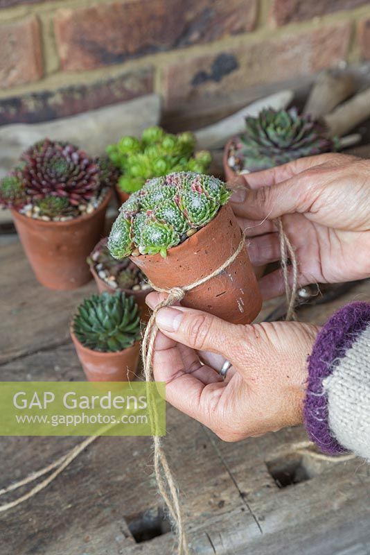 Use string to create a tight pocket to sit the terracotta pots in